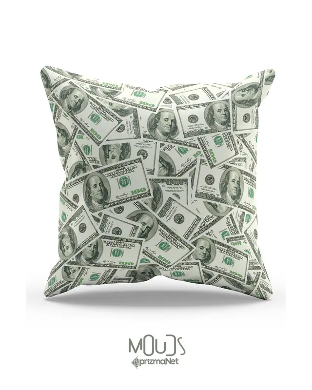 Dolar Pattern Double-Sided Printed Single Cushion Cover - 2